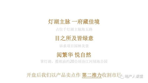 濱江首府項(xiàng)目年度整合推廣與公關(guān)策略方案